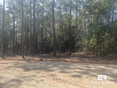 0 Highway 59, Stapleton, AL 36578 photo 2