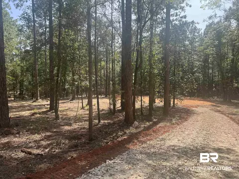 0 Highway 59, Stapleton, AL 36578 photo 5