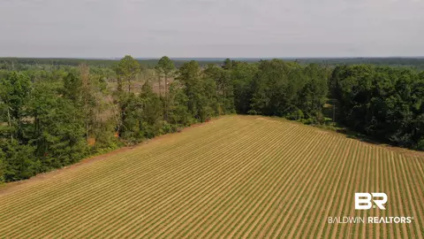 6 Travis Rd, Brewton, AL 36426