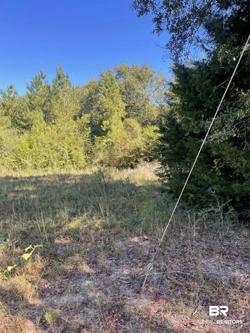 0 Hollinger Rd, Atmore, AL 36502