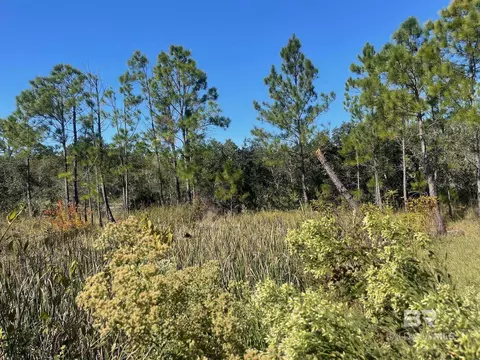 lot15 Palmetto Dr, Gulf Shores, AL 36547