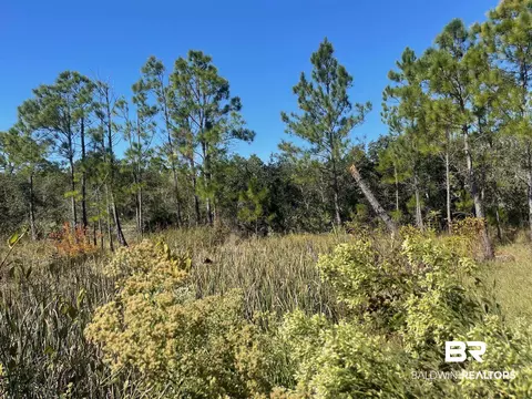 lot15 Palmetto Dr, Gulf Shores, AL 36547
