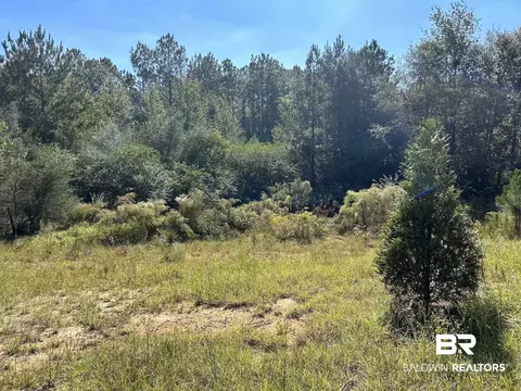 22898 County Road 64, Robertsdale, AL 36567
