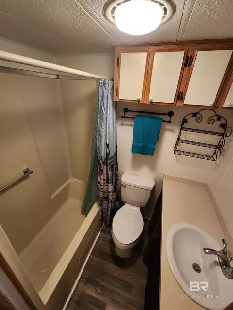 468 Elberta Loop, Lillian, AL 36549 photo 36