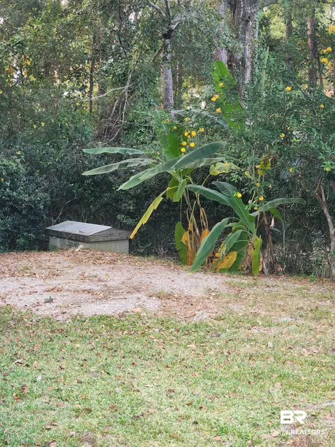468 Elberta Loop, Lillian, AL 36549 photo 45