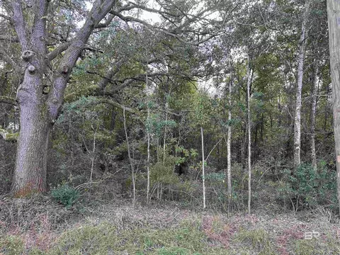 0 Fox Ln, Lillian, AL 36549