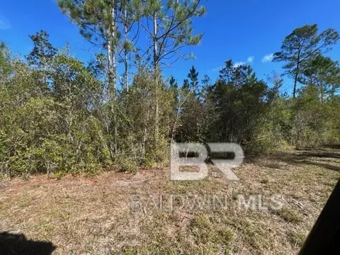 County Road 87, Elberta, AL 36530 photo 3