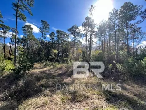 County Road 87, Elberta, AL 36530 photo 2