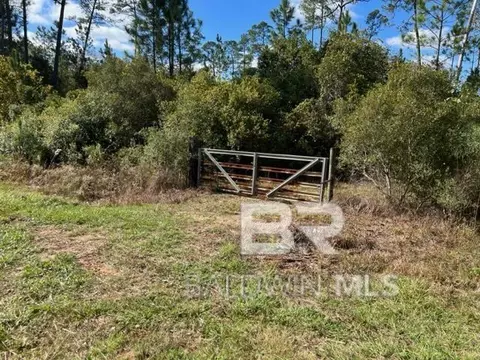 County Road 87, Elberta, AL 36530 photo 5