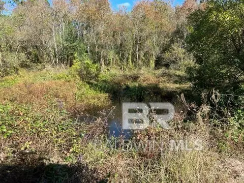 County Road 87, Elberta, AL 36530 photo 7