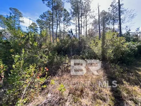 County Road 87, Elberta, AL 36530 photo 4