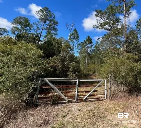 County Road 87, Elberta, AL 36530