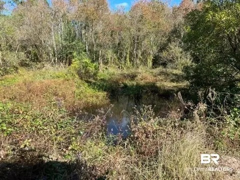 County Road 87, Elberta, AL 36530 photo 7