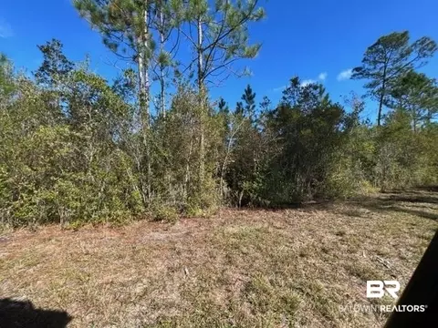 County Road 87, Elberta, AL 36530 photo 3