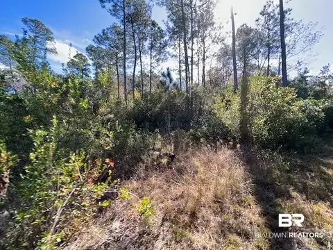 County Road 87, Elberta, AL 36530 photo 4