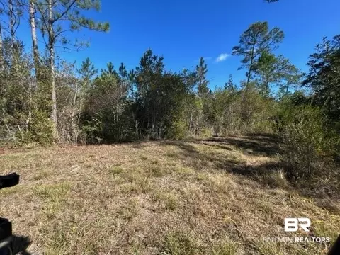 County Road 87, Elberta, AL 36530 photo 6