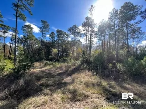 County Road 87, Elberta, AL 36530 photo 2