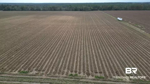0 Cc Road Cc Rd, Elberta, AL 36530 photo 7