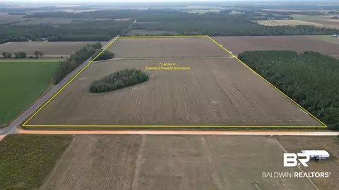 0 Cc Road Cc Rd, Elberta, AL 36530 photo 3