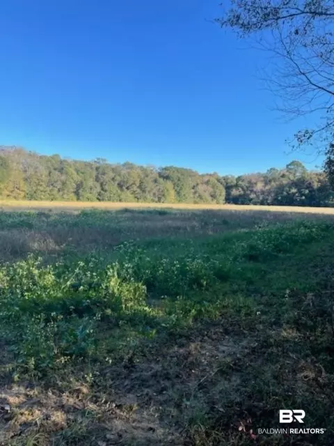 10501 Tillman Ln, Foley, AL 36535