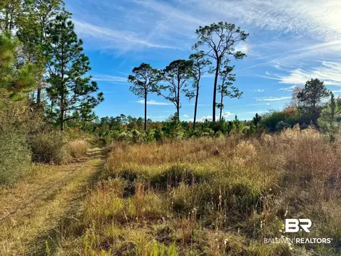 0 Greek Cemetery Rd, Elsanor, AL 36567