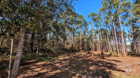 35603 Boykin Blvd, Lillian, AL 36549