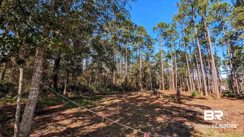 35603 Boykin Blvd, Lillian, AL 36549