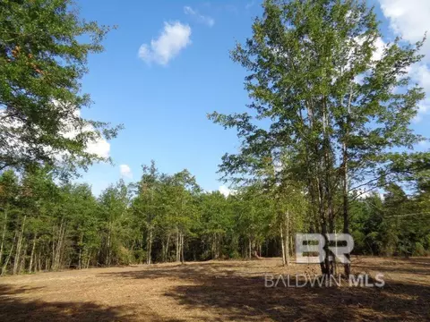 0 Butler St, Goodway, AL 36449