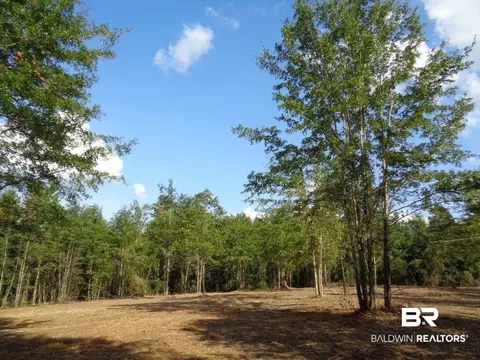 0 Butler St, Goodway, AL 36449
