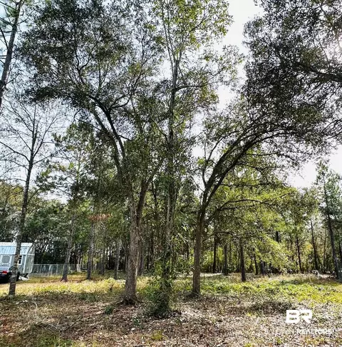0 Marsh Pt, Theodore, AL 36582 photo 3