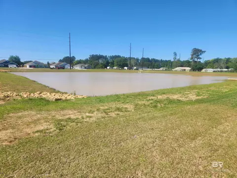 24566 Ringneck Loop, Elberta, AL 36530 photo 14