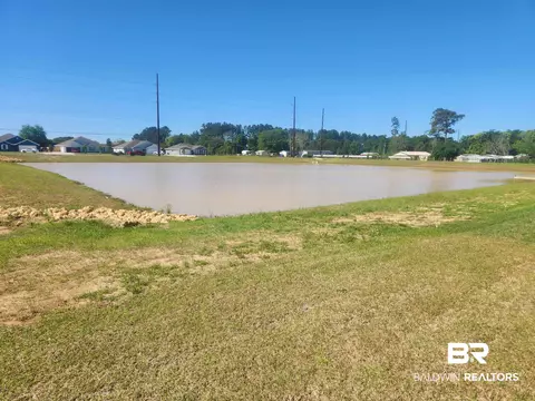 24566 Ringneck Loop, Elberta, AL 36530 photo 14