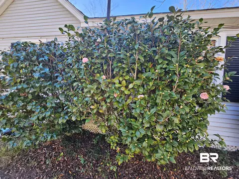 5604 Central Dr, Mobile, AL 36618 photo 15