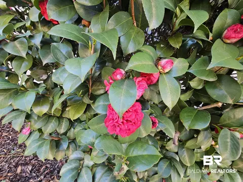 5604 Central Dr, Mobile, AL 36618 photo 12