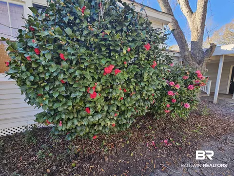 5604 Central Dr, Mobile, AL 36618 photo 14