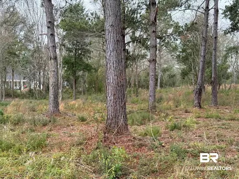 0 Old Brady Rd, Loxley, AL 36551
