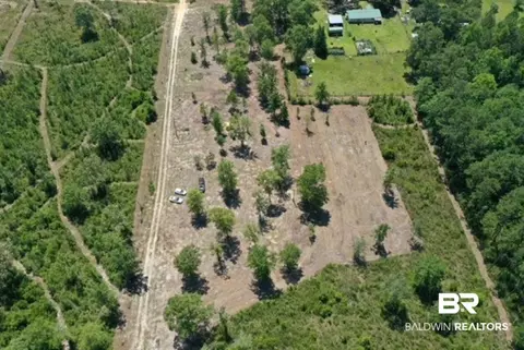 2 Splinter Hill Rd, Perdido, AL 36562
