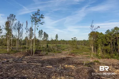 0 Whitehouse Fork Rd, Bay Minette, AL 36507