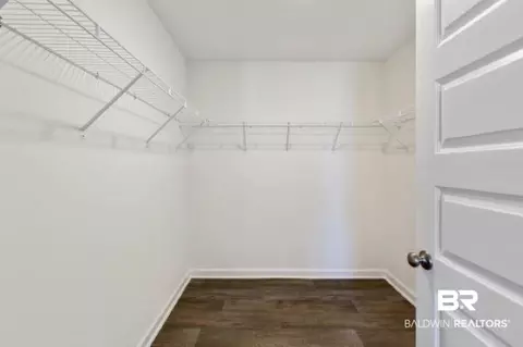 17159 Reflection St, Loxley, AL 36551 photo 17
