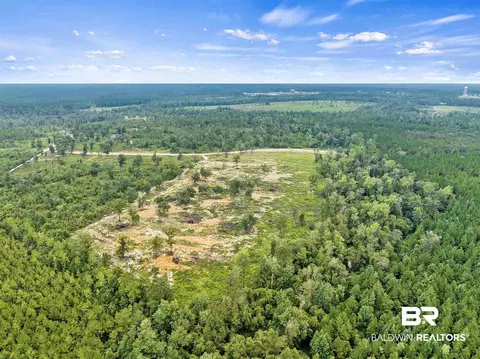 0 Lechner Ln, Robertsdale, AL 36567