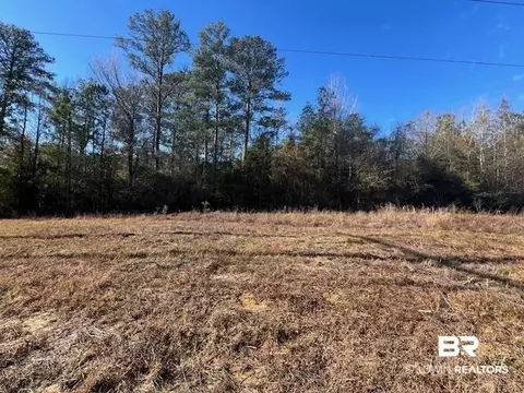 1800 Block Pea Ridge Rd, Brewton, AL 36426