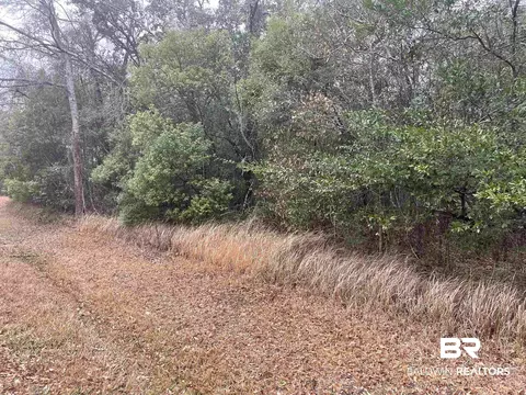 0 Elmo Ave, Theodore, AL 36582 photo 3
