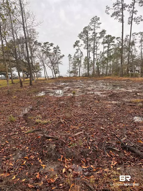 9311 S Bay Rd, Foley, AL 36535