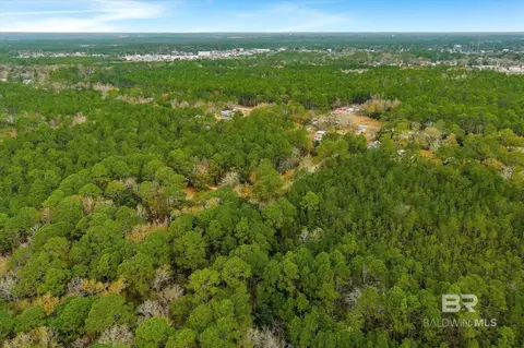 5414 Sumatra Dr, Coden, AL 36523 photo 16