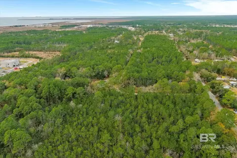 5414 Sumatra Dr, Coden, AL 36523 photo 19