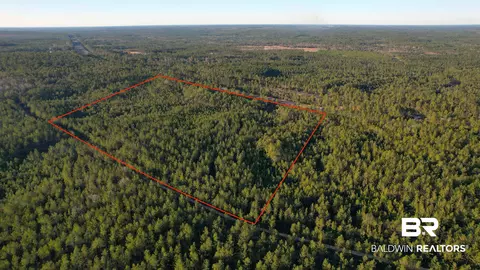 0 Timber Company Rd, Robertsdale, AL 36567