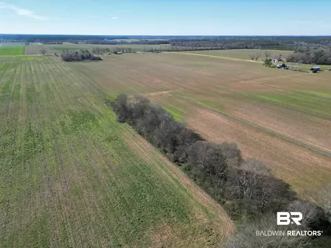 125 Adabell Rd, Atmore, AL 36502 photo 6