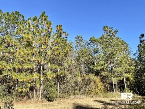0 Riverview Pointe Dr, Theodore, AL 36582