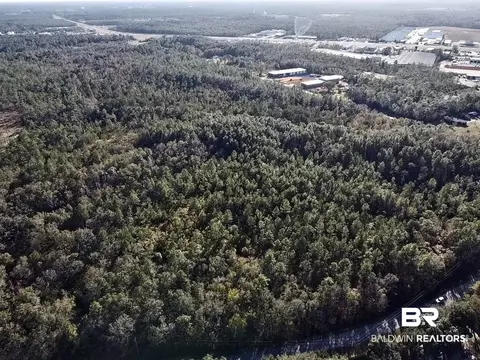 0 Riverview Pointe Dr, Theodore, AL 36582 photo 6