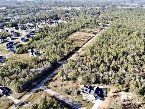 0 Riverview Pointe Dr, Theodore, AL 36582 photo 20